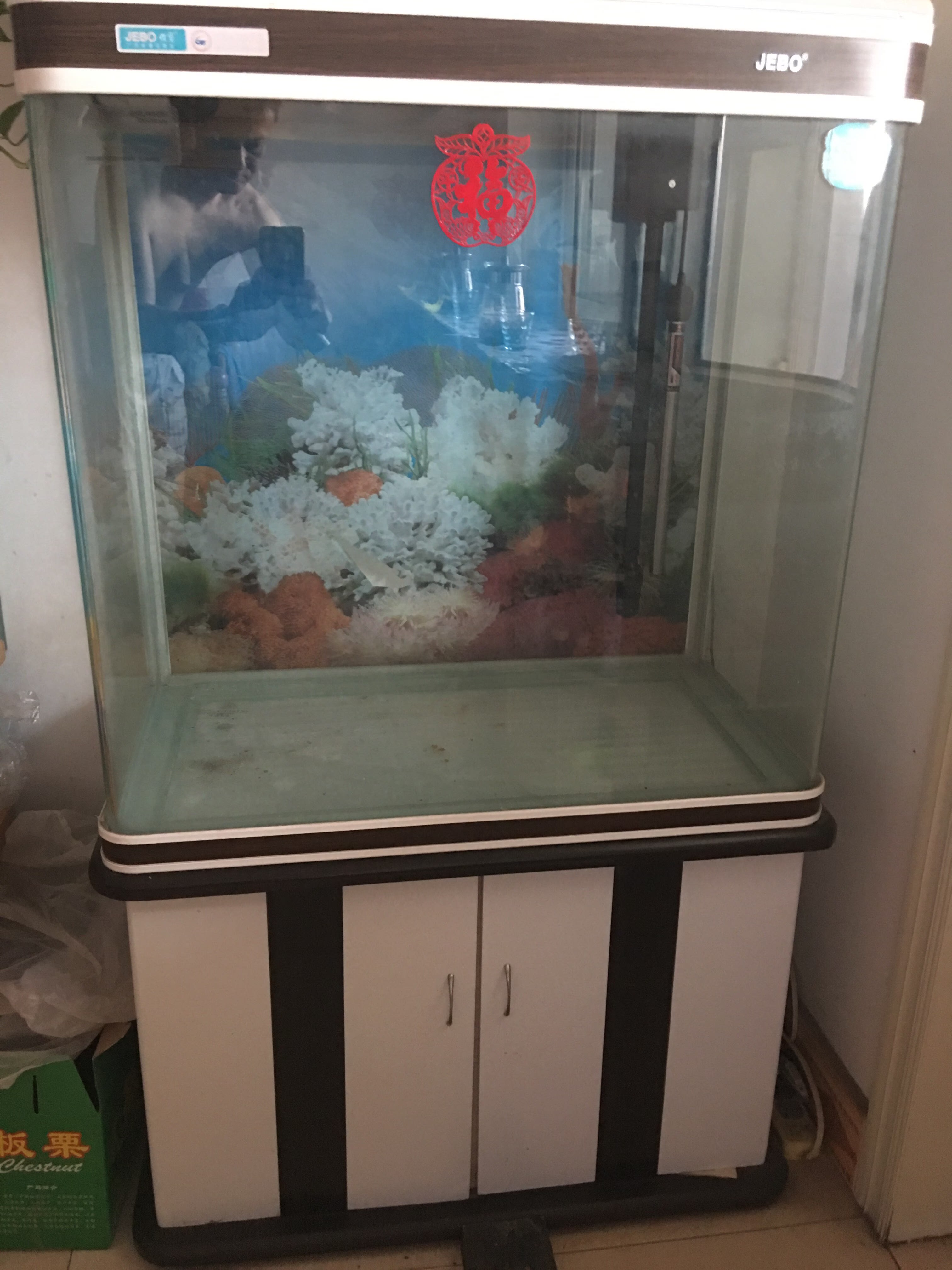 【嘉宝鱼缸】_二手_转让_回收 – 闲鱼