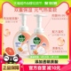 Dettol/滴露西柚香型泡沫洗手液250ml*2瓶慕斯泡沫