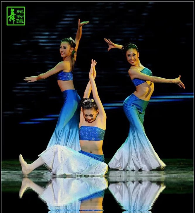 成人傣族舞蹈演出服