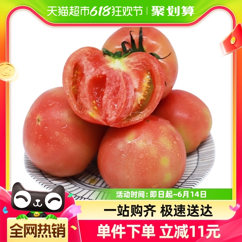 山东粉番茄生吃西红柿2.5kg自然