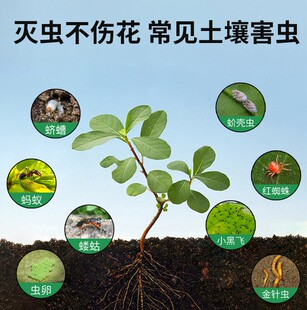 2瓶/植物花卉杀虫剂土壤除花盆小飞虫黑驱虫专灭花土盆栽室内通用