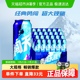 雪花啤酒勇闯天涯8度500ML*24听新鲜拉格【夏日爽啤 经典爆款】