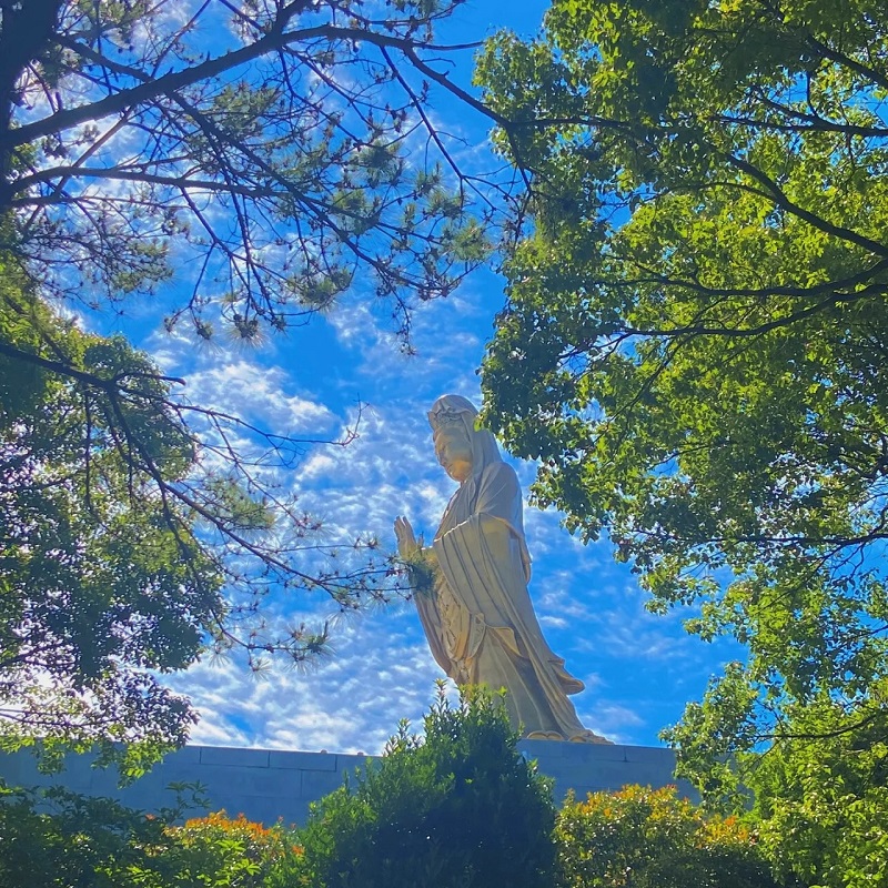 G五一普陀山旅游舟山祈福紫竹林南海观音佛顶山慧济寺纯玩2日游