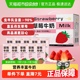 [下拉领淘金币]一鸣草莓香蕉味生牛乳奶学生儿童早餐纯香奶整箱