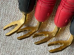 发烧喇叭线叉图片