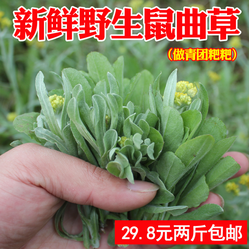 青团 艾草 新鲜