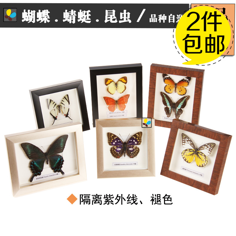068昆虫立体画框摆台真蝴蝶标本相框家居装饰摆件挂墙原创品牌在类目 家居饰品, 相框/画框中 - 来自Buy2taobao.com提供专业的淘宝代购服务