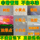 汽车强力去污洗车液去除漆面油污黄点铁锈虫胶树胶清洁清洗剂外飞