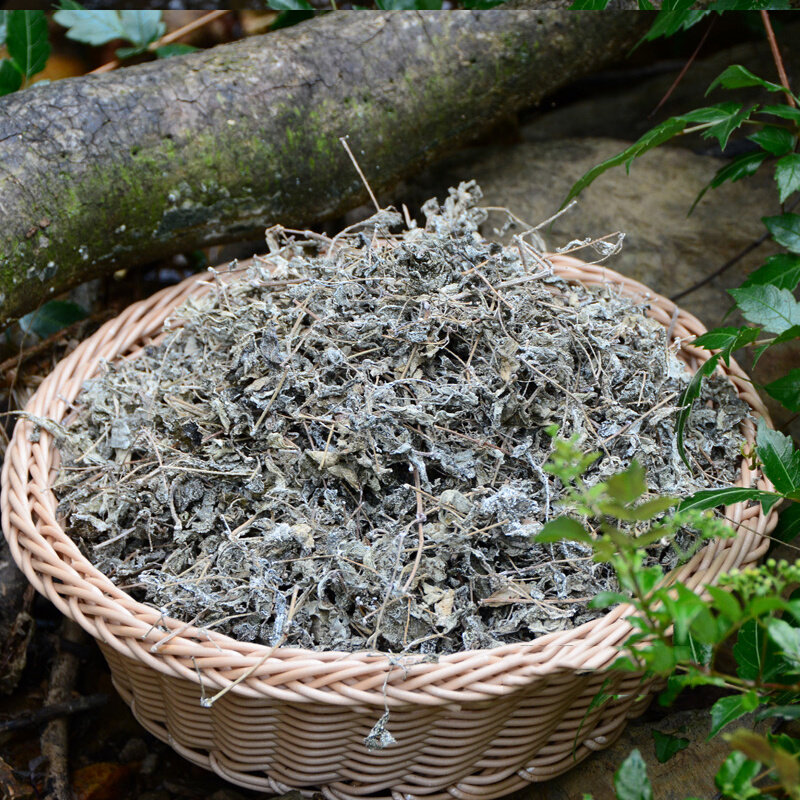 粤北行溪黄草山茶阳山溪黄茶凉茶浓缩装强力型