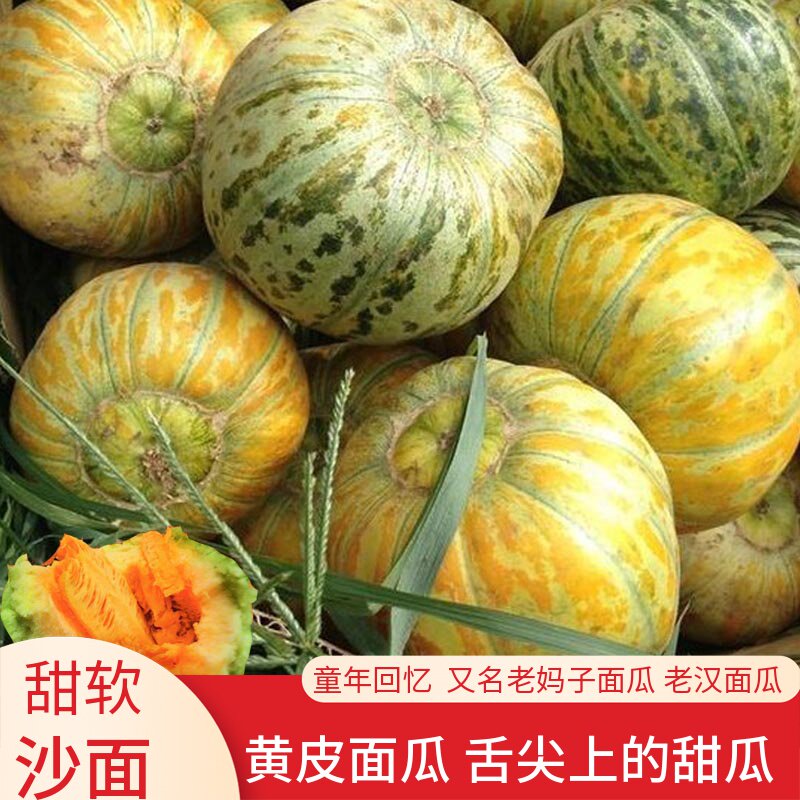老品种面瓜种籽黄皮黑皮花皮面瓜种子露地生吃甜瓜种籽香瓜四季播