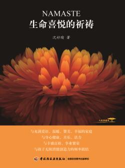 2022年02月28日生命喜悦的祈祷沈妙瑜中国轻工业出版社9787501980529