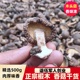 椴木香菇干货500g农家特产精选厚冬菇湖北蘑菇散装家用小香茹花菇