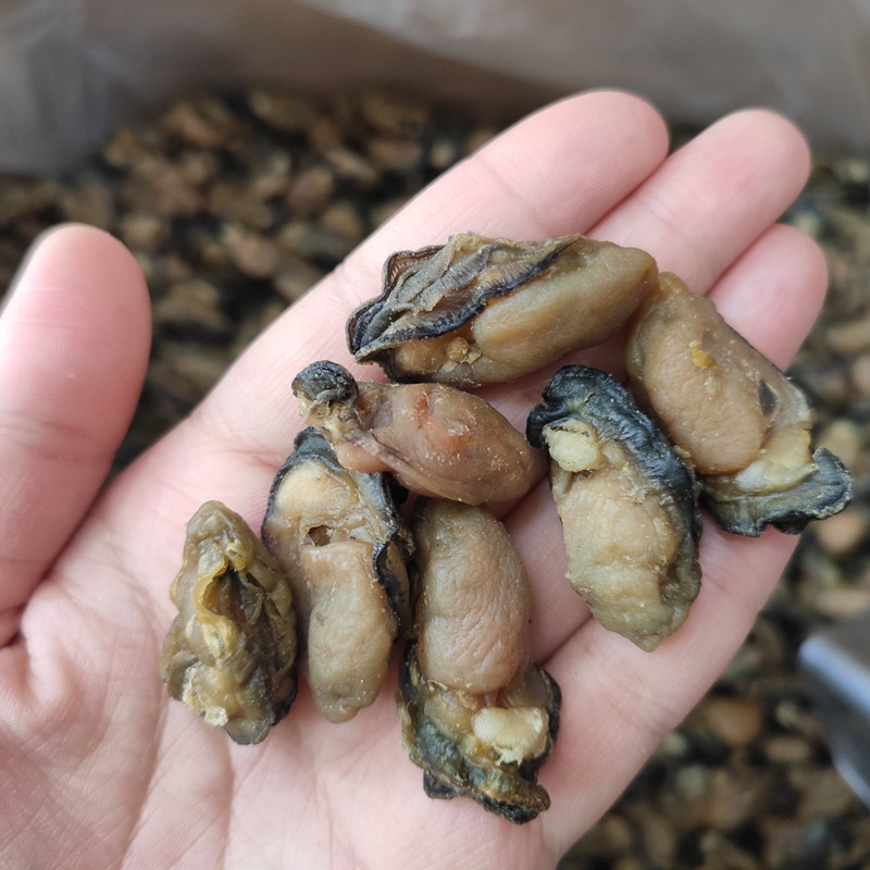 a180头小生蚝干500g牡蛎干海蛎干蚝豉子海鲜干货煲汤料非特级野生