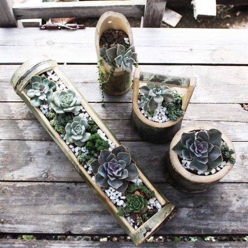 竹筒竹制品 多肉植物花盆 毛竹花器 创意悬挂立式组合竹子花盆
