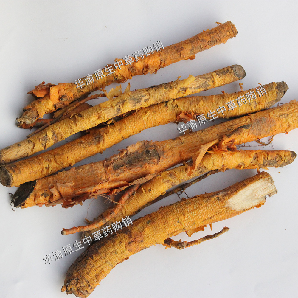 穿破石根整条穿破石九层皮金腰带拉牛入石黄蛇根山荔枝川破石500g