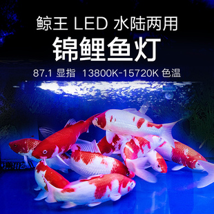 水族箱T8鱼缸灯增艳照明led灯潜水灯防水超亮金鱼缸锦鲤专用灯管