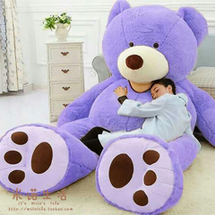 美国大熊 大尺寸熊 紫熊 明星同款 毛绒大玩具 大公仔 送女生抱熊