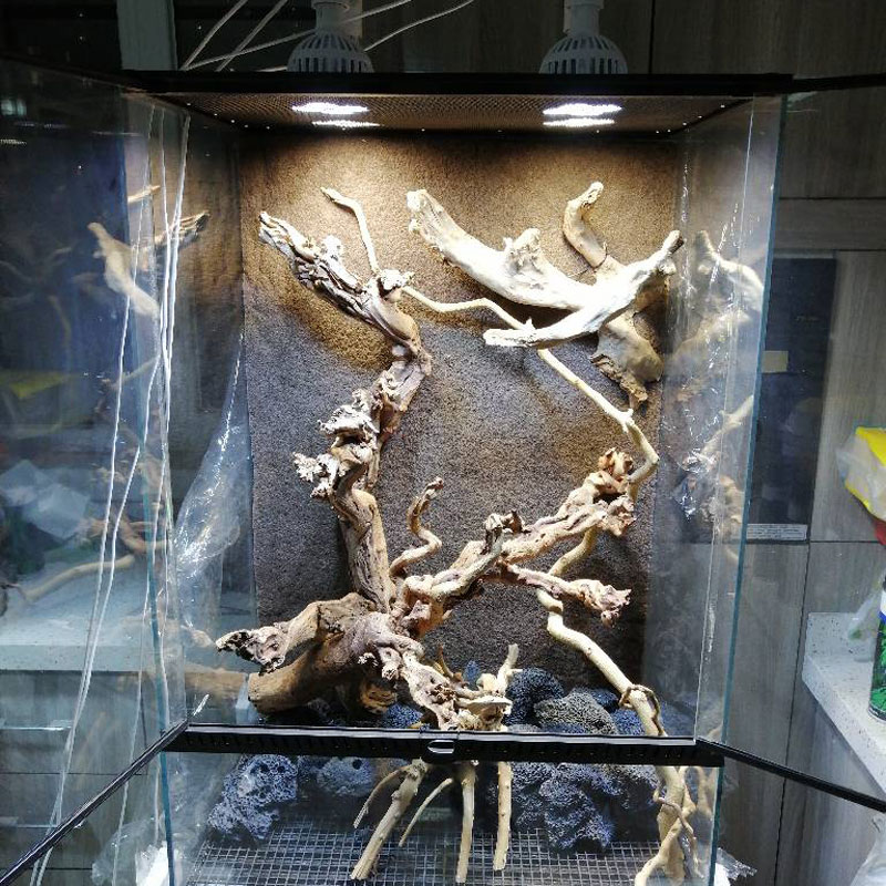 新62W植物牆補光射燈室內假山魚缸造景全光譜led生長軌道雨林缸燈在類目 家裝主材, 燈具燈飾, 功能性燈具, 植物生長燈中 - 來自Buy2taobao.com提供專業的淘寶代購服務