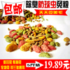 1件包邮兔粮成年提草幼兔垂耳宠物兔子饲料抗球虫除臭豚鼠粮5斤 1件包邮兔粮成年提草幼兔垂耳宠物兔子饲料抗球虫除臭豚鼠粮5斤
