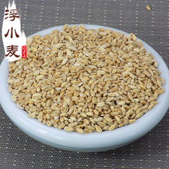 浮小麦 中药材浮麦瘪小麦浮小麦茶 经方集药材工坊250g