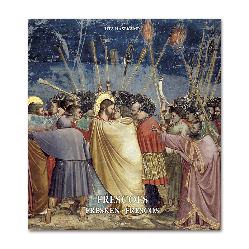 赐宏图书专营店的优惠券大全—现货原版 frescoes 意大利湿壁画艺术