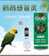 手养鹦鹉鸟类玄凤牡丹虎皮感冒炸毛发烧鼻孔发红消瘦积食备用拉稀