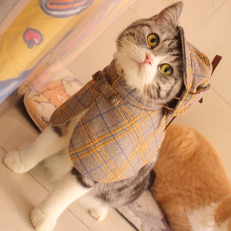 福尔摩斯·猫宠物侦探服斗篷帽子套装搞笑猫咪衣服拍照可爱变身装