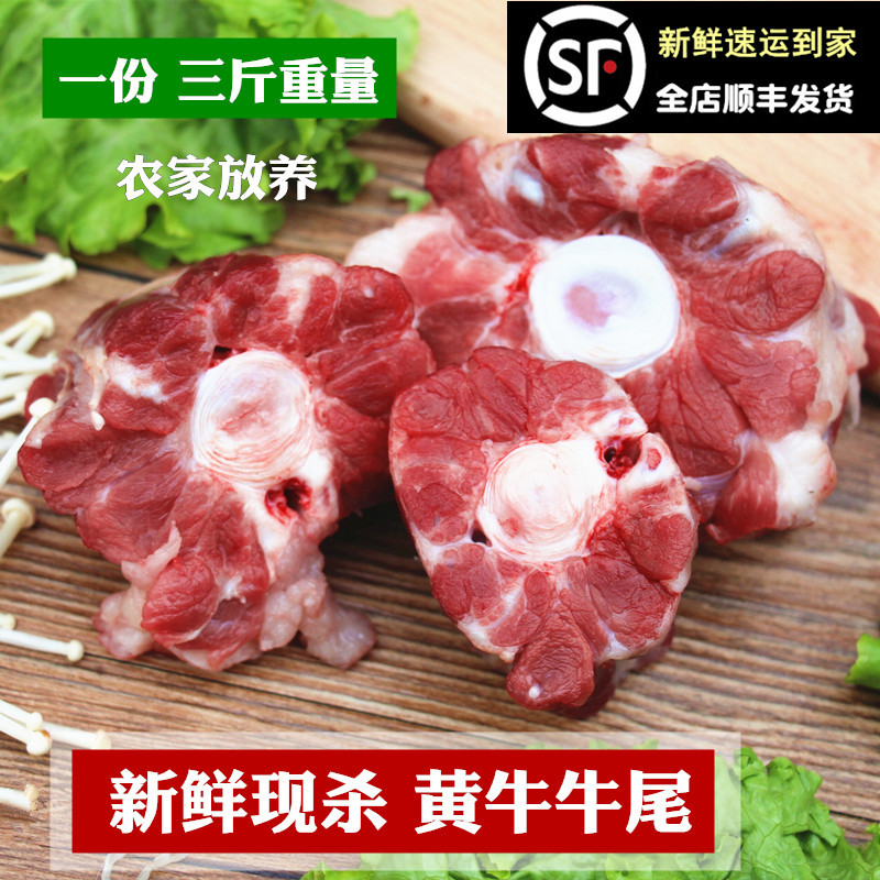 新鲜黄牛尾 整根牛尾3斤现杀黄牛肉带骨牛尾巴牛尾骨另有牛排骨