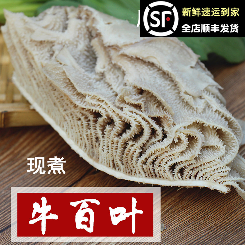 熟牛百叶500g 新鲜牛百叶现煮黑毛肚黄牛千层肚金钱肚蜂窝牛肚