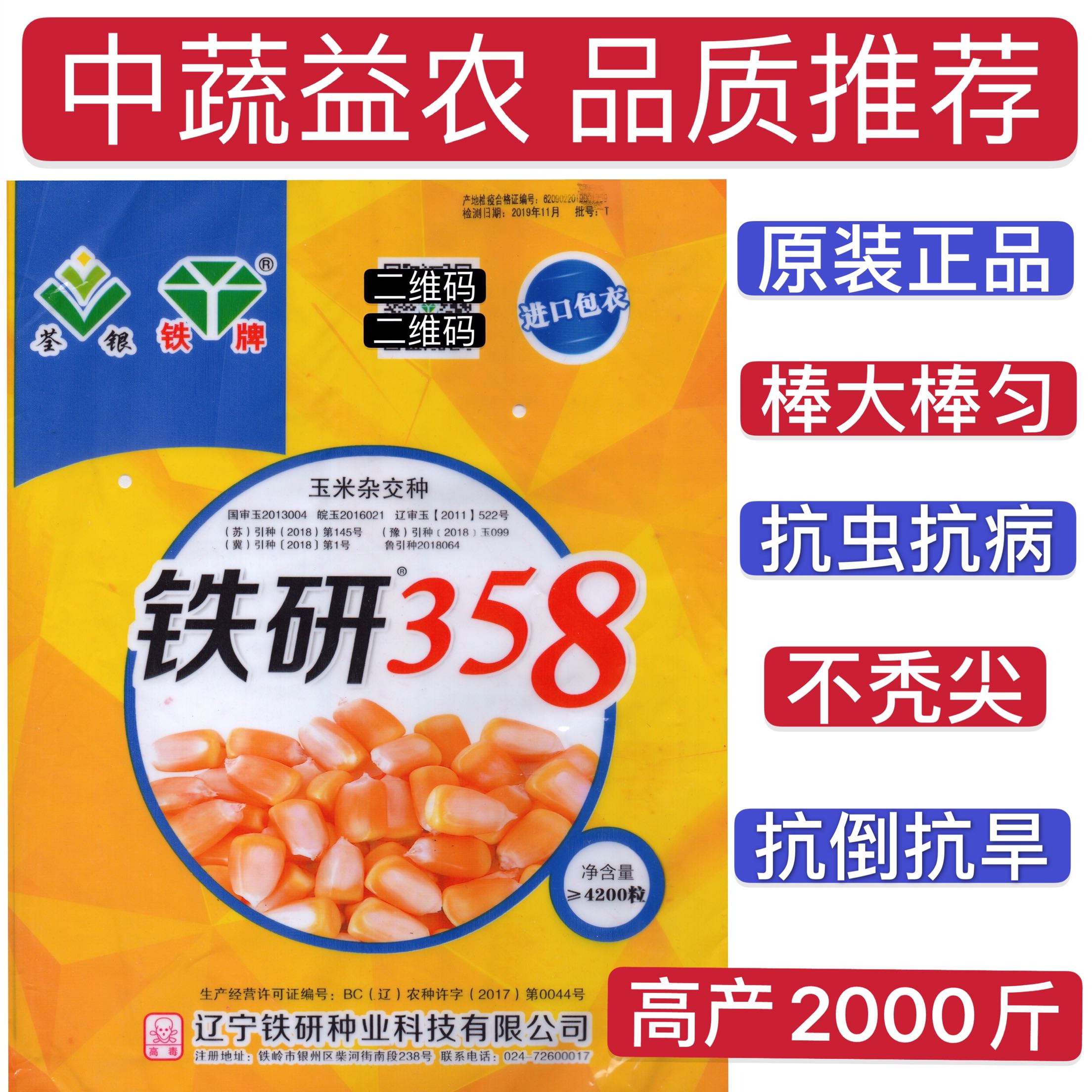 玉米品种铁研378图片