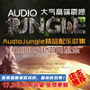 Audio Jungle 影視片頭AE模板配樂VIDEOHIVE禦AJ音樂庫高端震撼 Audio Jungle 影視片頭AE模板配樂VIDEOHIVE禦AJ音樂庫高端震撼