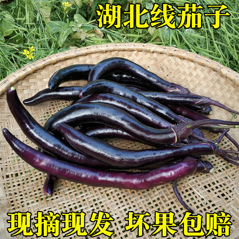 新鲜紫茄子湖北天门农家自种线茄子应季新鲜蔬菜瓜果4斤