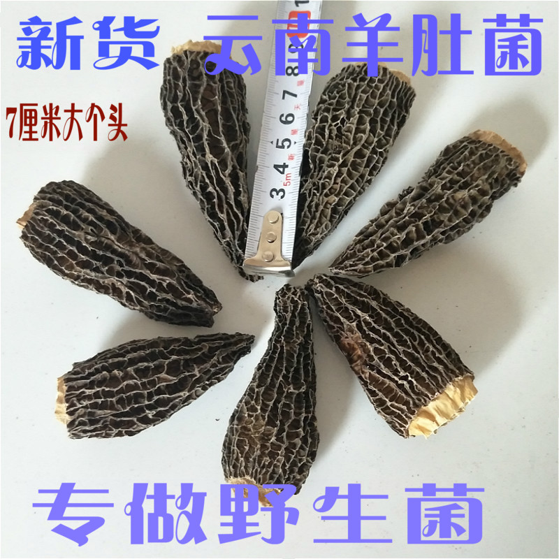野生羊肚菌幹貨雲南特産蘑菇新鮮牛肚菌菇煲湯食材50g包郵非500g在類目 糧油米麪/南北乾貨/調味品, 南北乾貨/肉類乾貨, 乾貨/土特產, 香菇類中 - 來自Buy2taobao.com提供專業的淘寶代購服務