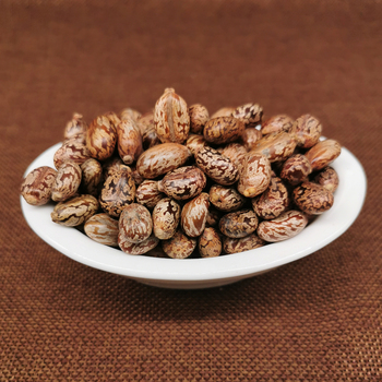 红皮蓖麻子50克中药材新鲜红皮蓖麻籽 红蓖麻子仁 红麻子 蓖麻仁