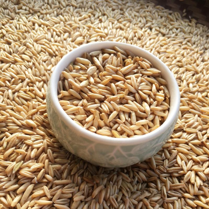 13天猫旗舰店农家生燕麦米杂粮粥粗粮散装裸燕麦原价:0625.