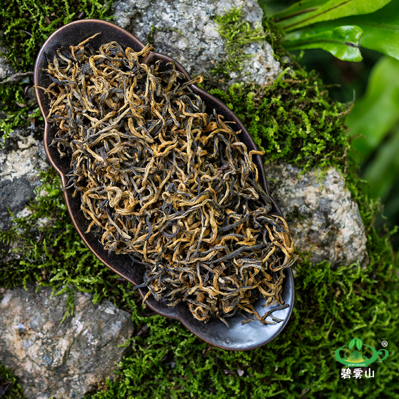 碧雾山头采春芽金骏眉红茶新茶特级武