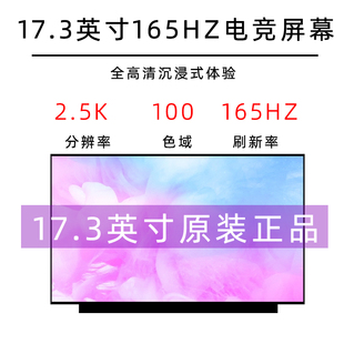 机械革命蛟龙7E 钛钽PLUS 旷世 极光 X9T笔记本屏幕17.3寸2K165HZ