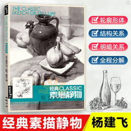 经典全集 素描静物组合临摹书籍美术基础技法结构到位绘画册照片风暴高艺联考主导陈敲平陶罐门砖教学程材大八开范本正版杨建飞