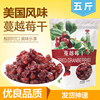 辉乐蔓越莓干500g*5风味蜜饯果干零食烘焙曼越梅红莓五斤包装 辉乐蔓越莓干500g*5风味蜜饯果干零食烘焙曼越梅红莓五斤包装