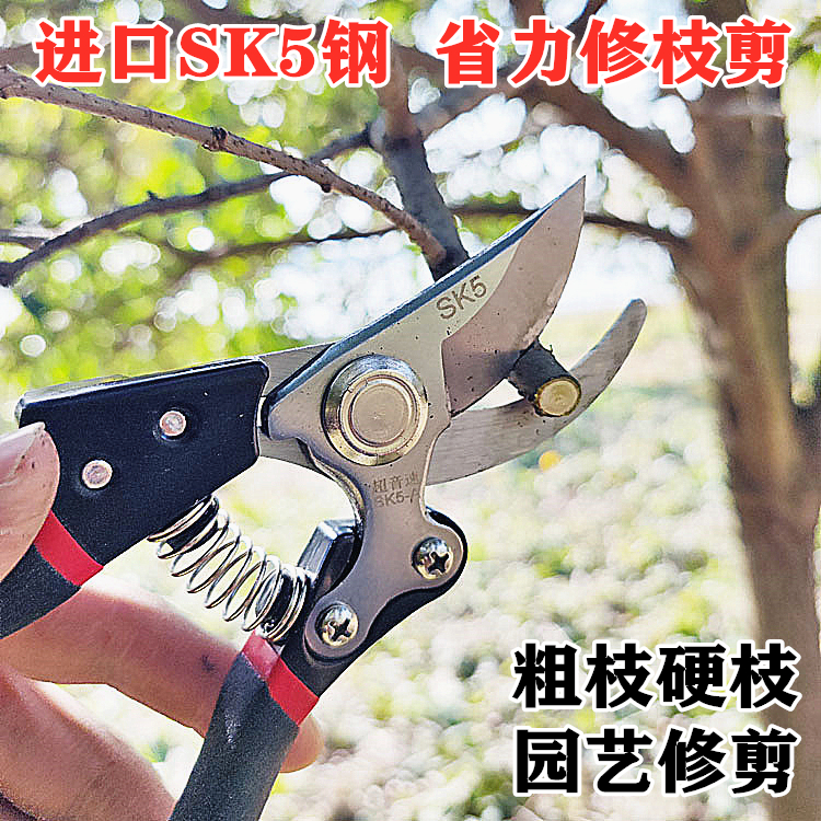 新款修剪树枝剪刀进口SK5钢果树园艺园林枝条剪刀省力粗枝锋利