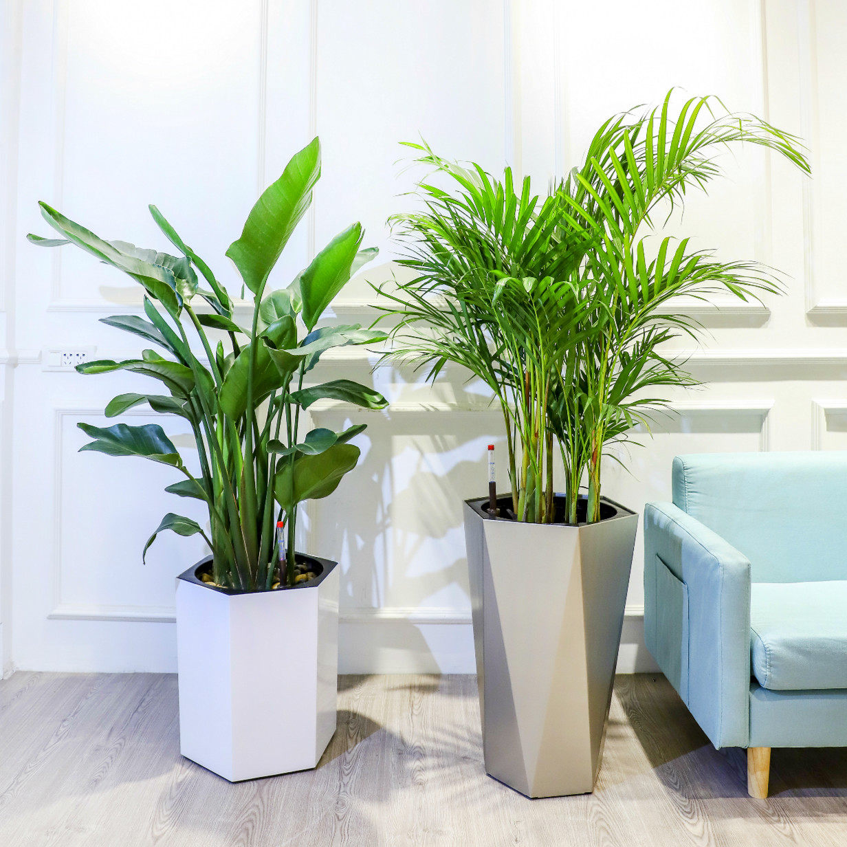 懒人自动吸水花盆北欧简约现代客厅落地轻奢高级感菱形深高盆大号