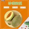 沙漠哈蜜瓜 网纹西州蜜瓜 甜瓜哈密瓜 新疆果 水果5-6斤 两枚 沙漠哈蜜瓜 网纹西州蜜瓜 甜瓜哈密瓜 新疆果 水果5-6斤 两枚