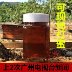 龙眼蜜桂圆蜂蜜 无加工浓缩 纯正天然 农家自产土蜂蜜 500克 正品