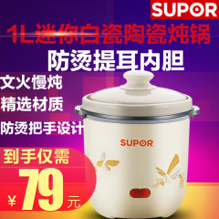 Supor/苏泊尔 DKZ10A2-80小电炖锅陶瓷迷你电炖盅全自动白瓷内胆