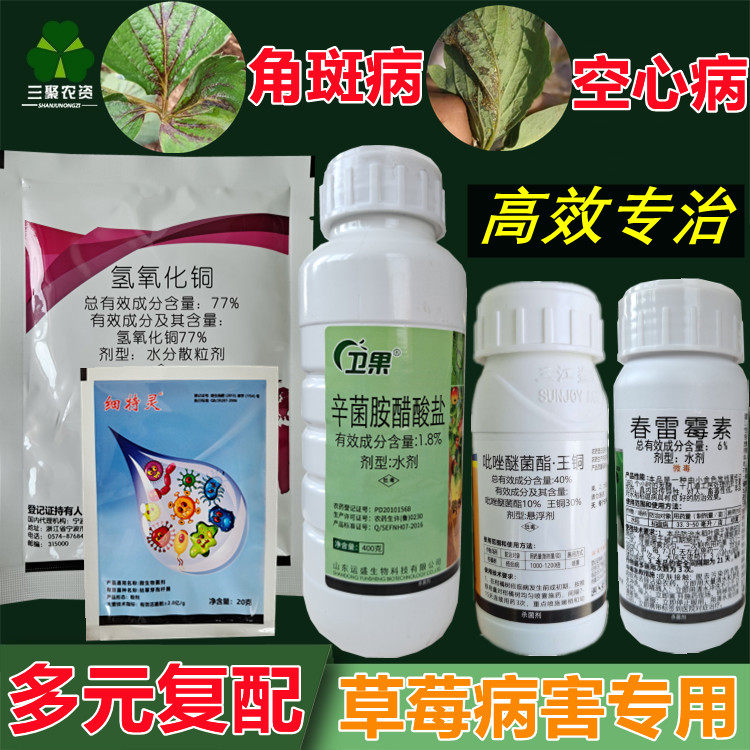 氢氧化铜春雷草莓苗空心药黑斑病炭疽病细菌性角斑病草莓苗杀菌剂