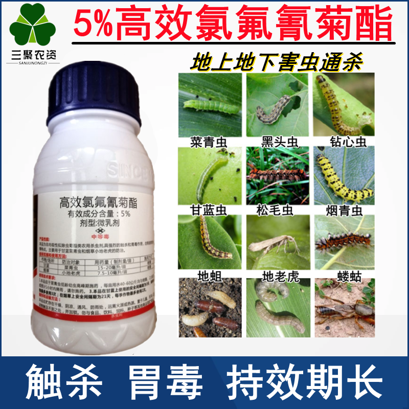 5高效氯氰氟菊酯微乳剂农药店果树蔬菜玉米螟菜青虫杀虫药正邦