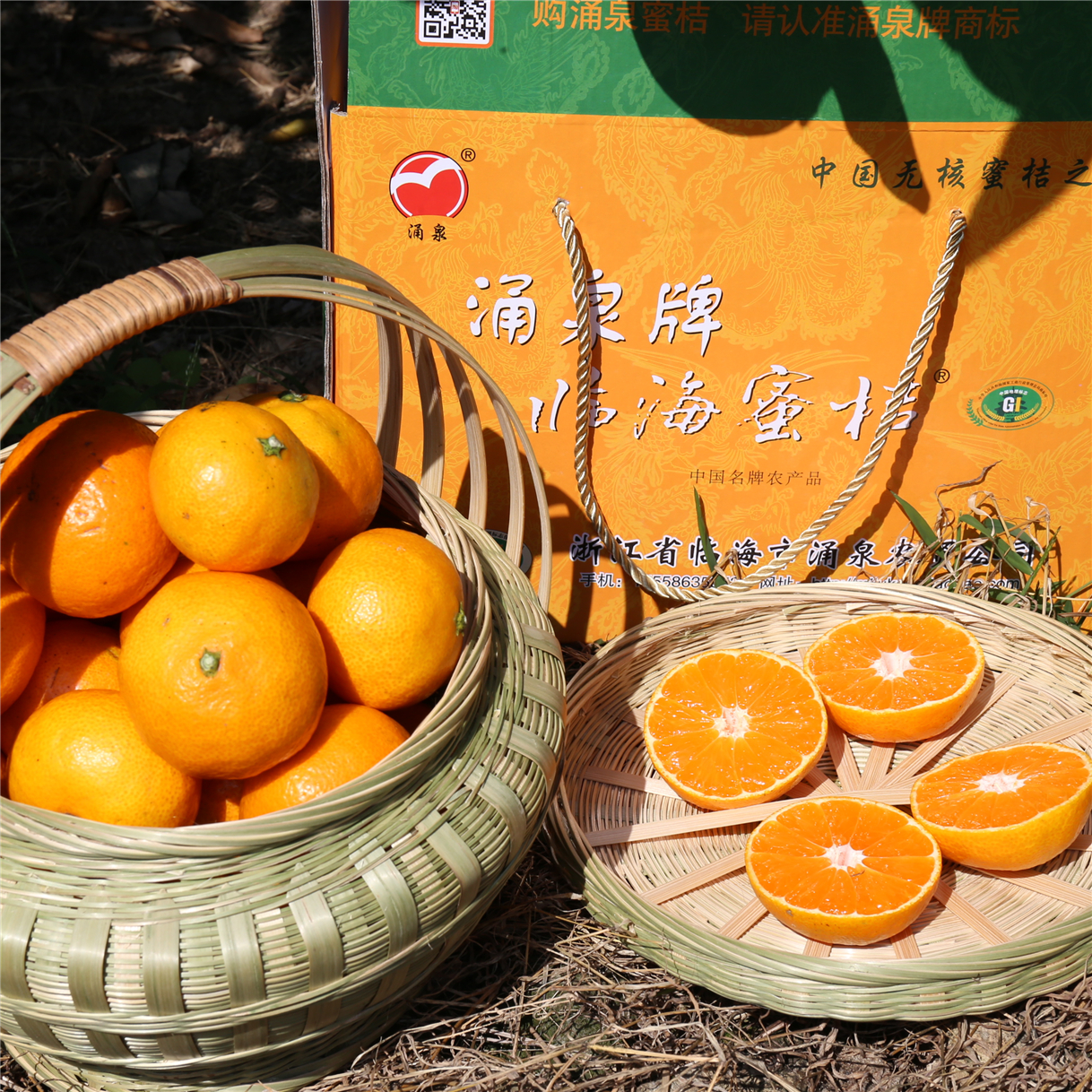 限量贡品涌泉蜜桔早熟台州临海涌泉无核蜜桔水果新鲜
