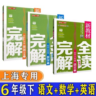 新教材完全解读 六年级下语文数学英语N版6年级下册/第二学期 上海教材同步配套全解全析