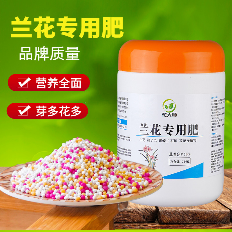 君子兰花肥