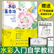 水彩教程书 水彩画基本功技法基础入门自学教材书籍 绘画插画水粉画学画画初学者新手完全入门到精通零基础手绘临摹范本画册画集